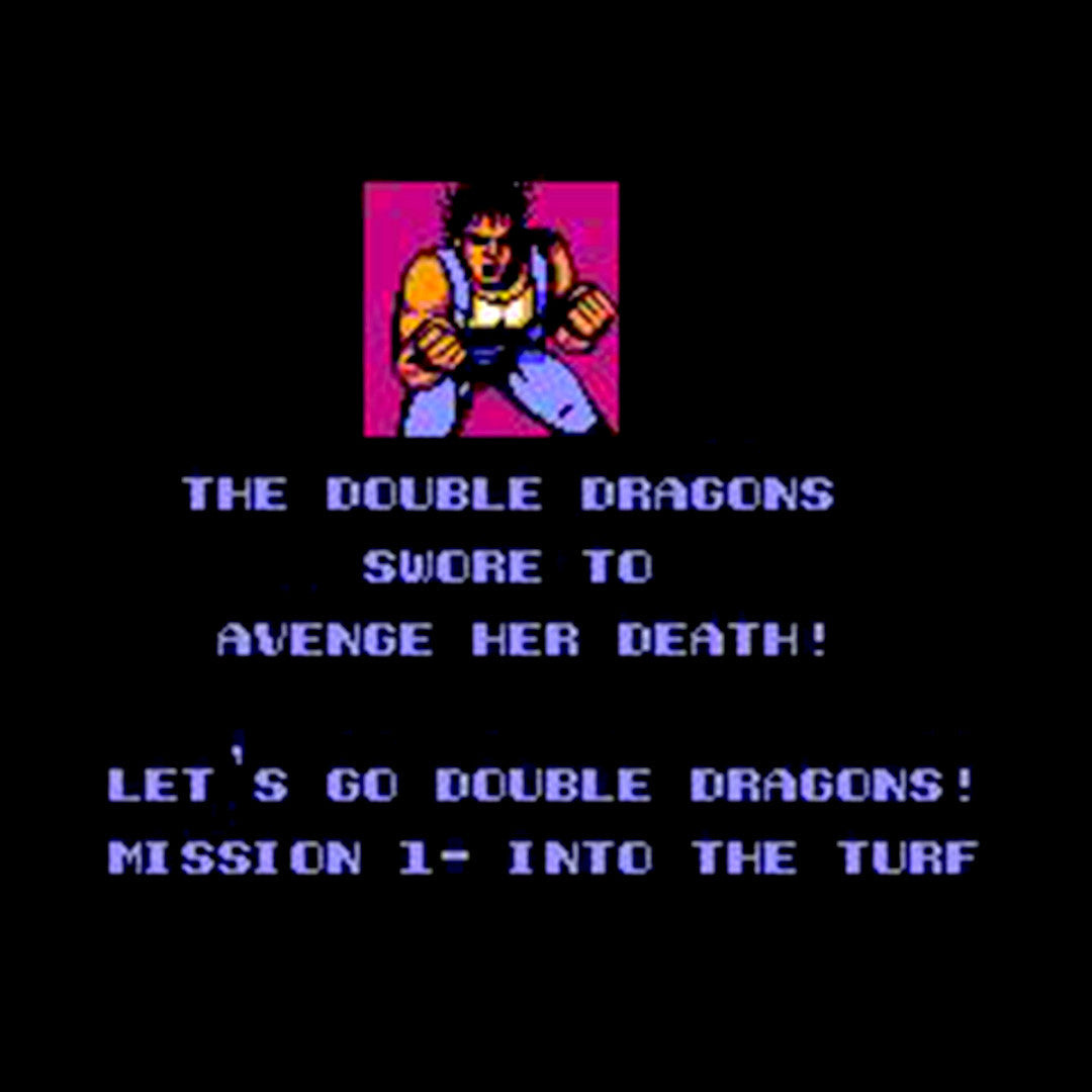 Double dragon sales 2 nes price