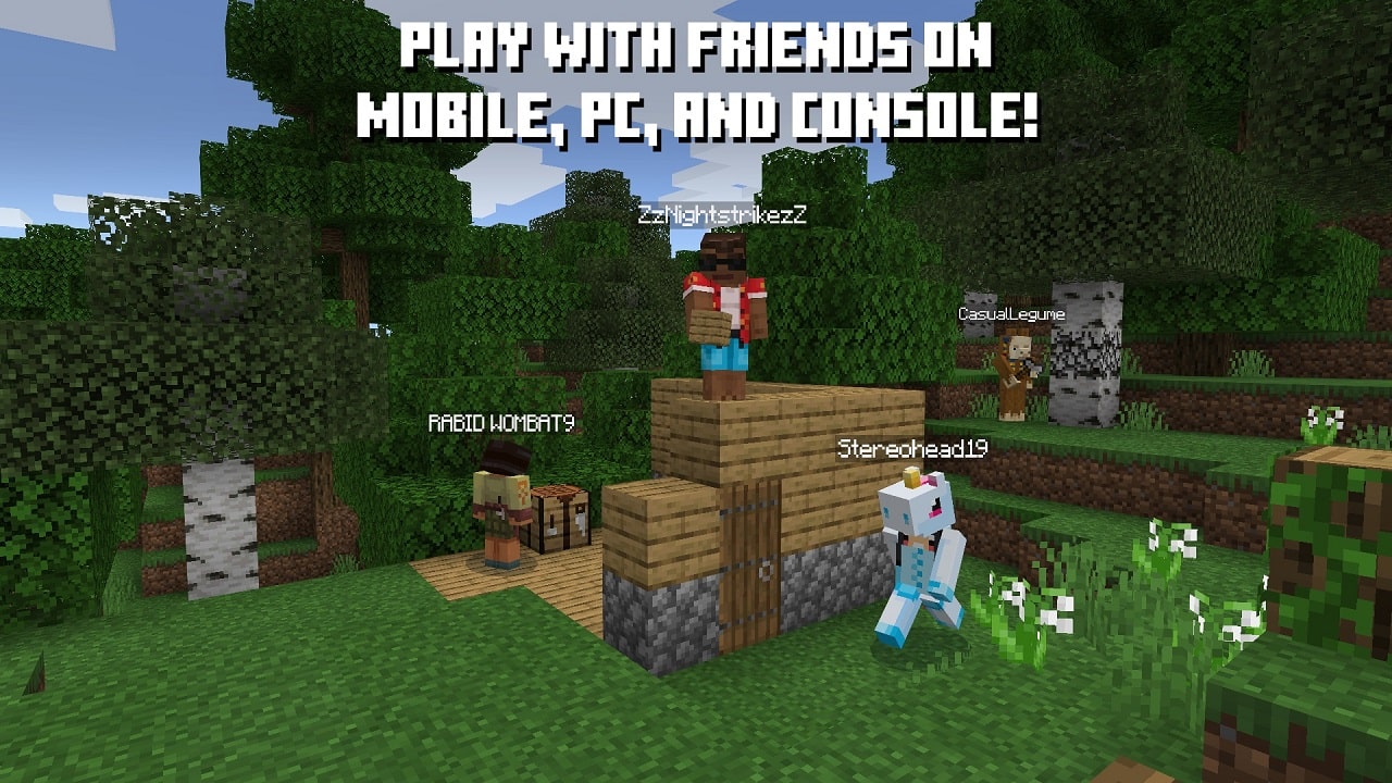 Nintendo switch deals minecraft with pc